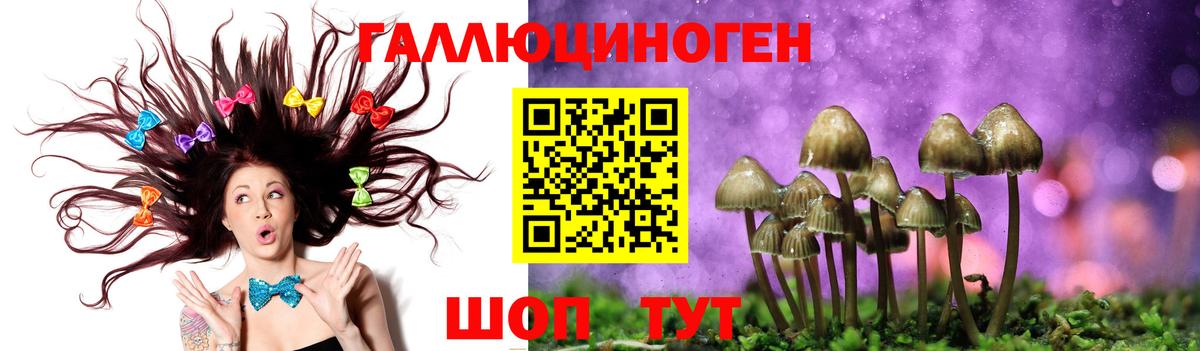 Сорочинск  Галлюциногенные грибы ЛСД  Вход с VPN 